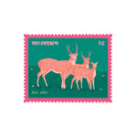 Postcard- The Chital Deer